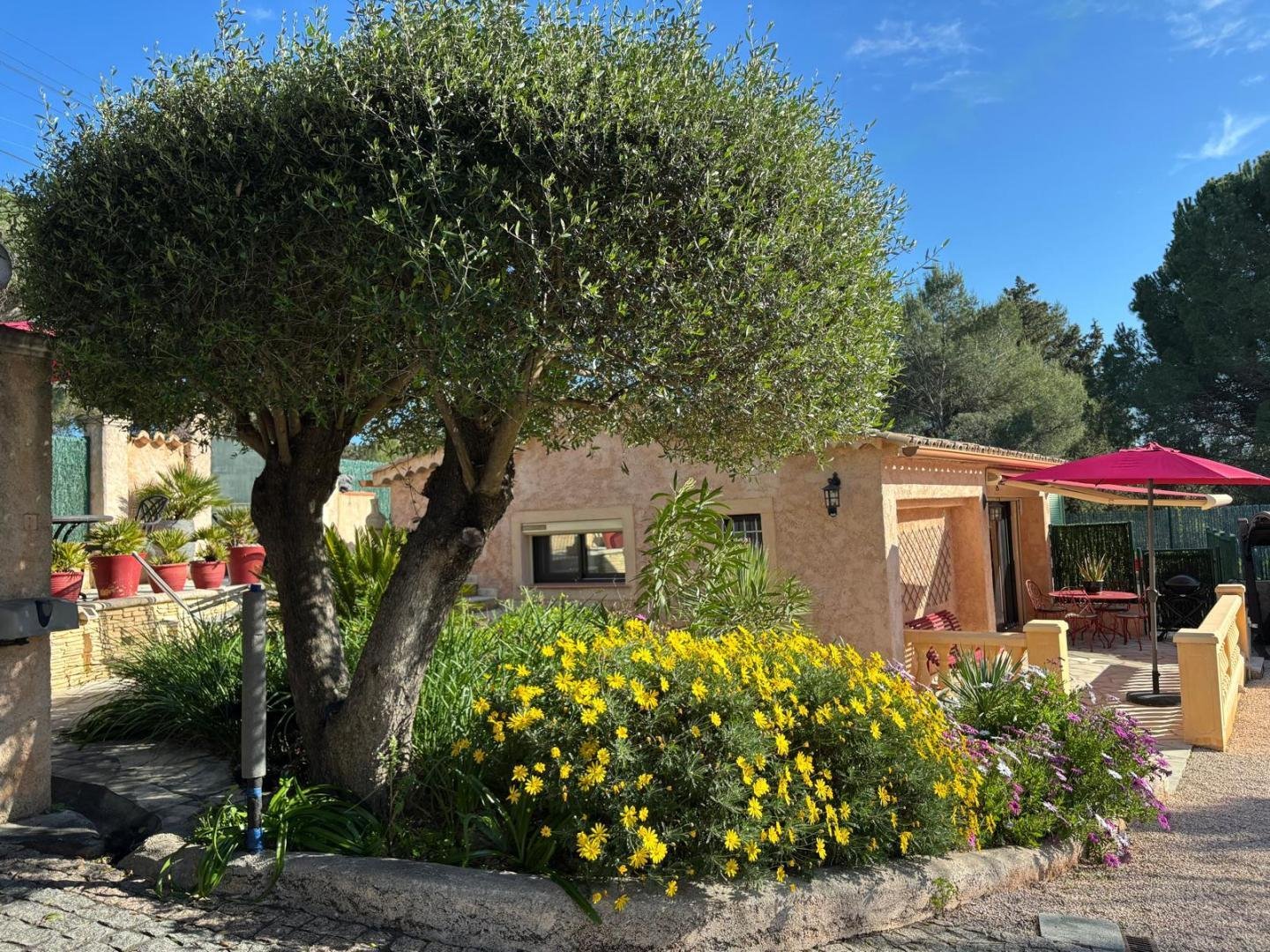 Découverte de la Côte d'Azur